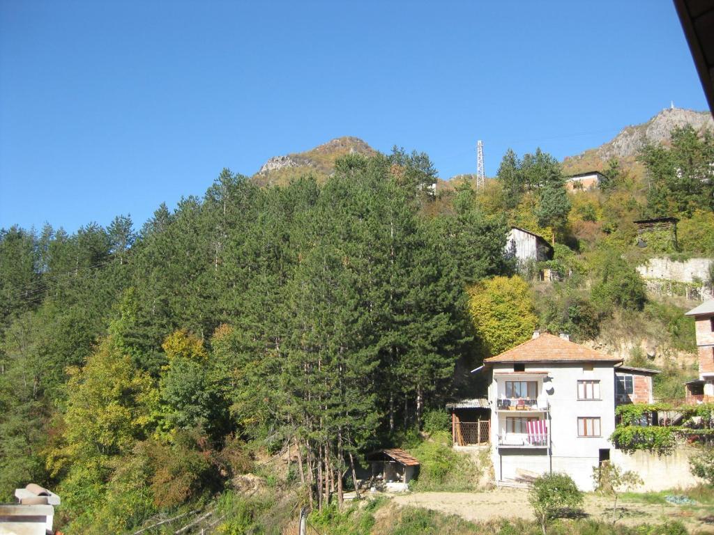 Family Hotel Veronika Dövlen Dış mekan fotoğraf