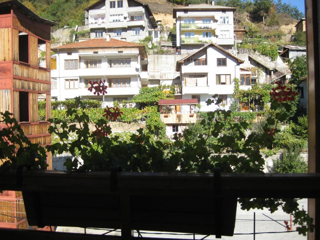 Family Hotel Veronika Dövlen Dış mekan fotoğraf